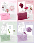 Four coordinated floral print club editions arranged in a 2x2 grid on pastel backgrounds. Each set includes a pink, burgundy, green or lavender envelope, printed cards, stickers and botanical illustrations with the title 'The Bloom Edition.