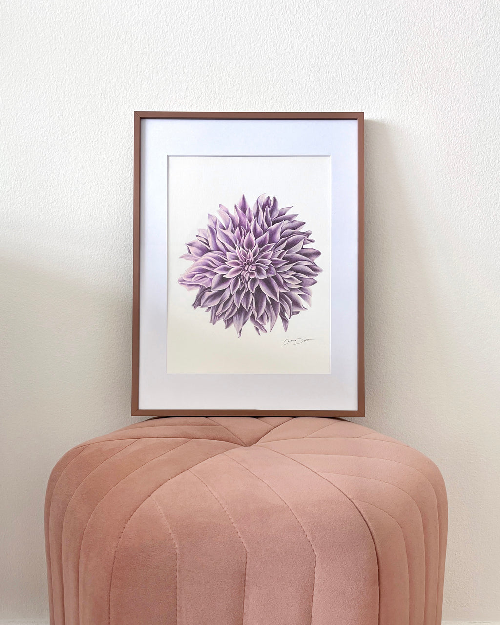 Lavender Dahlia
