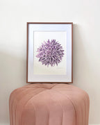 Lavender Dahlia