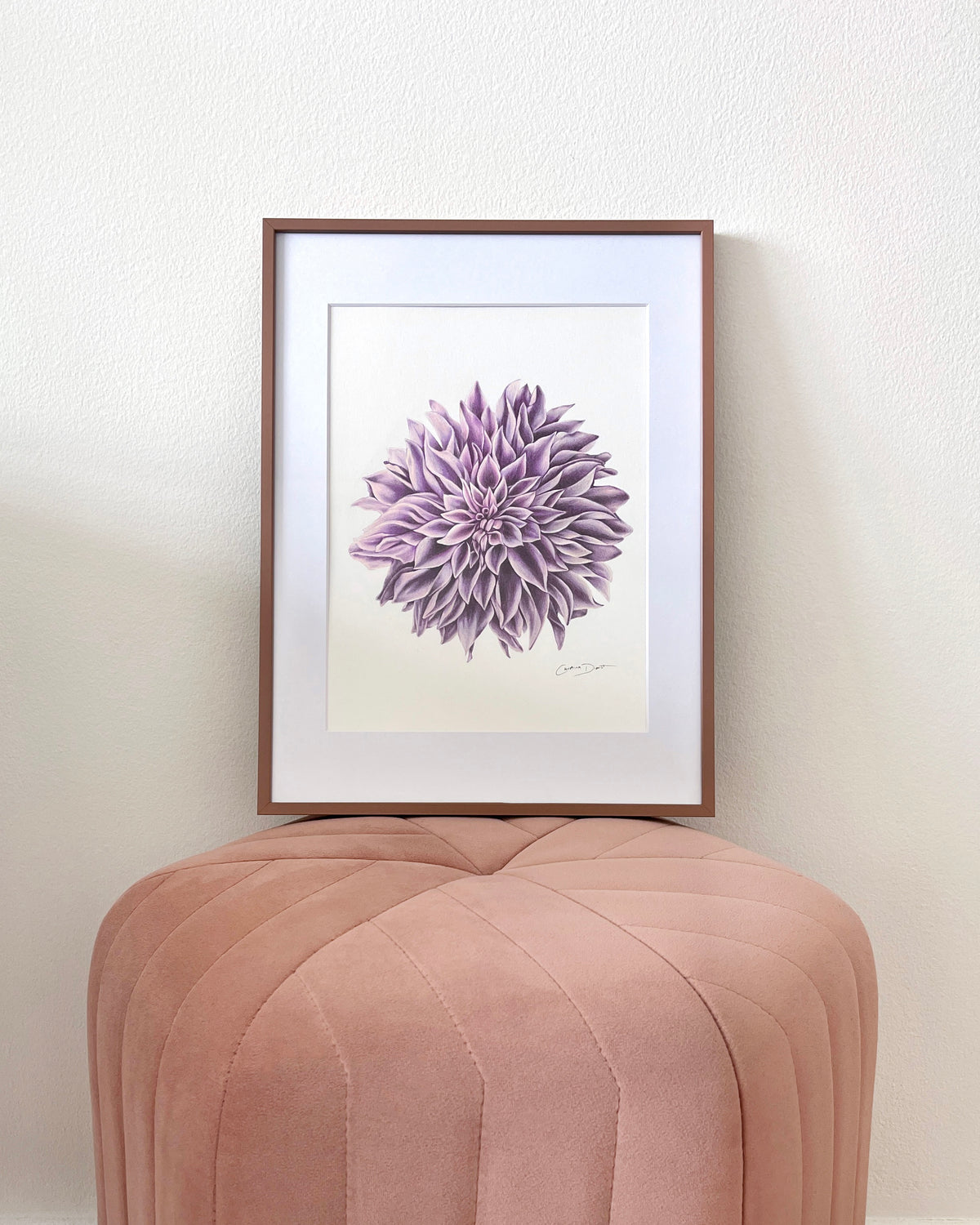 Lavender Dahlia