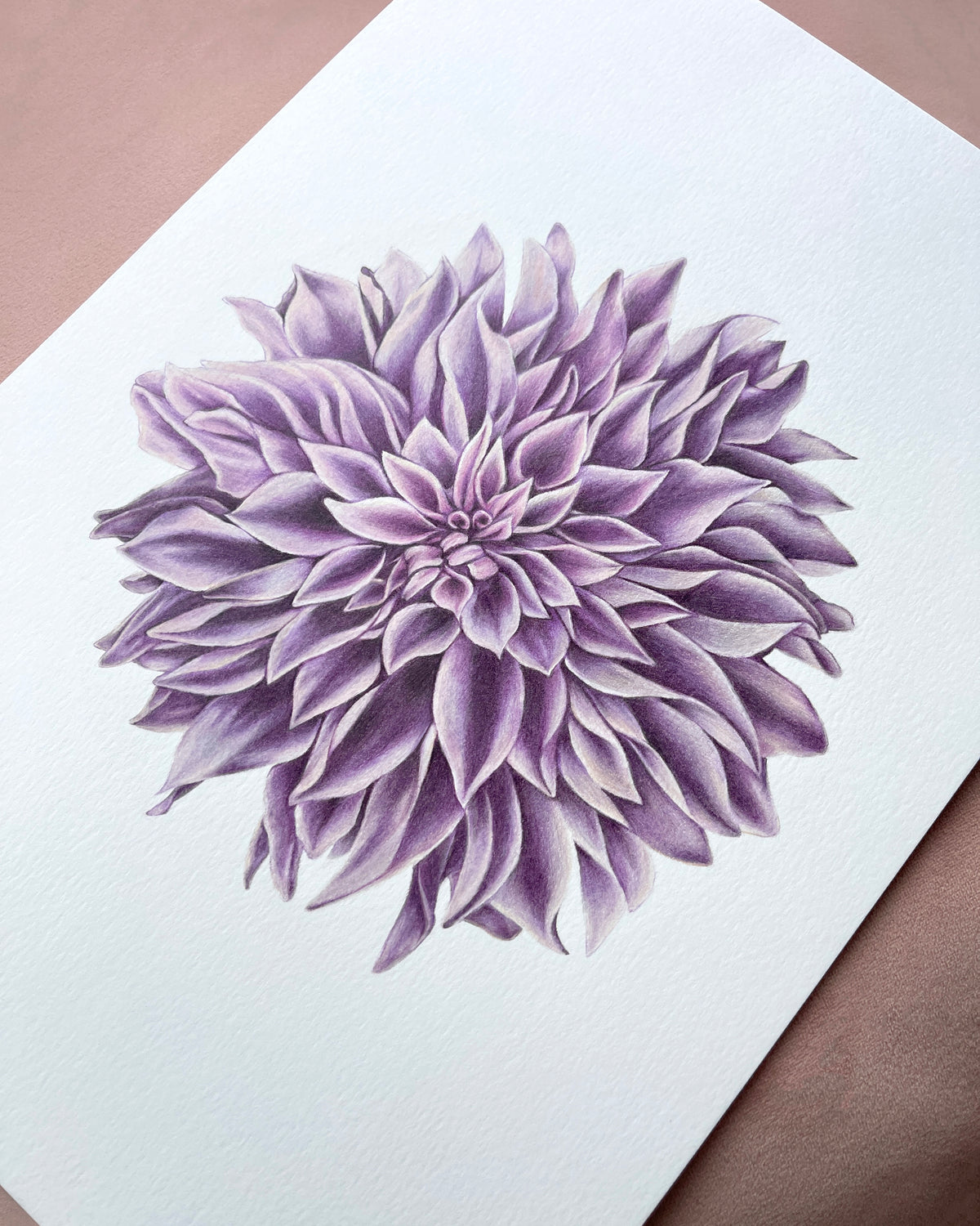 A detailed colored pencil illustration of a purple dahlia flower centered on a square sheet of white textured paper, photographed on a neutral blush surface.
