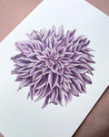 Lavender Dahlia