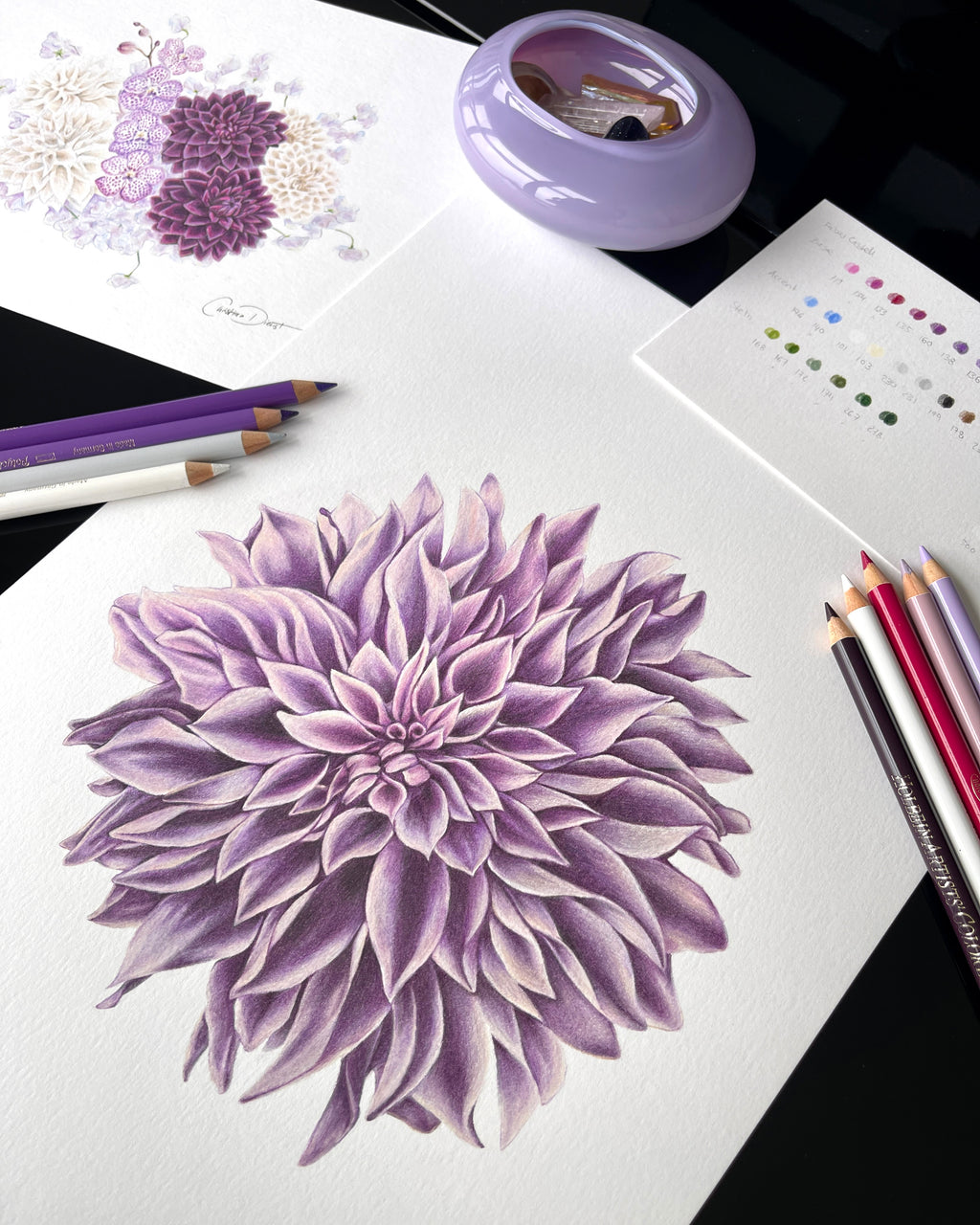 Lavender Dahlia