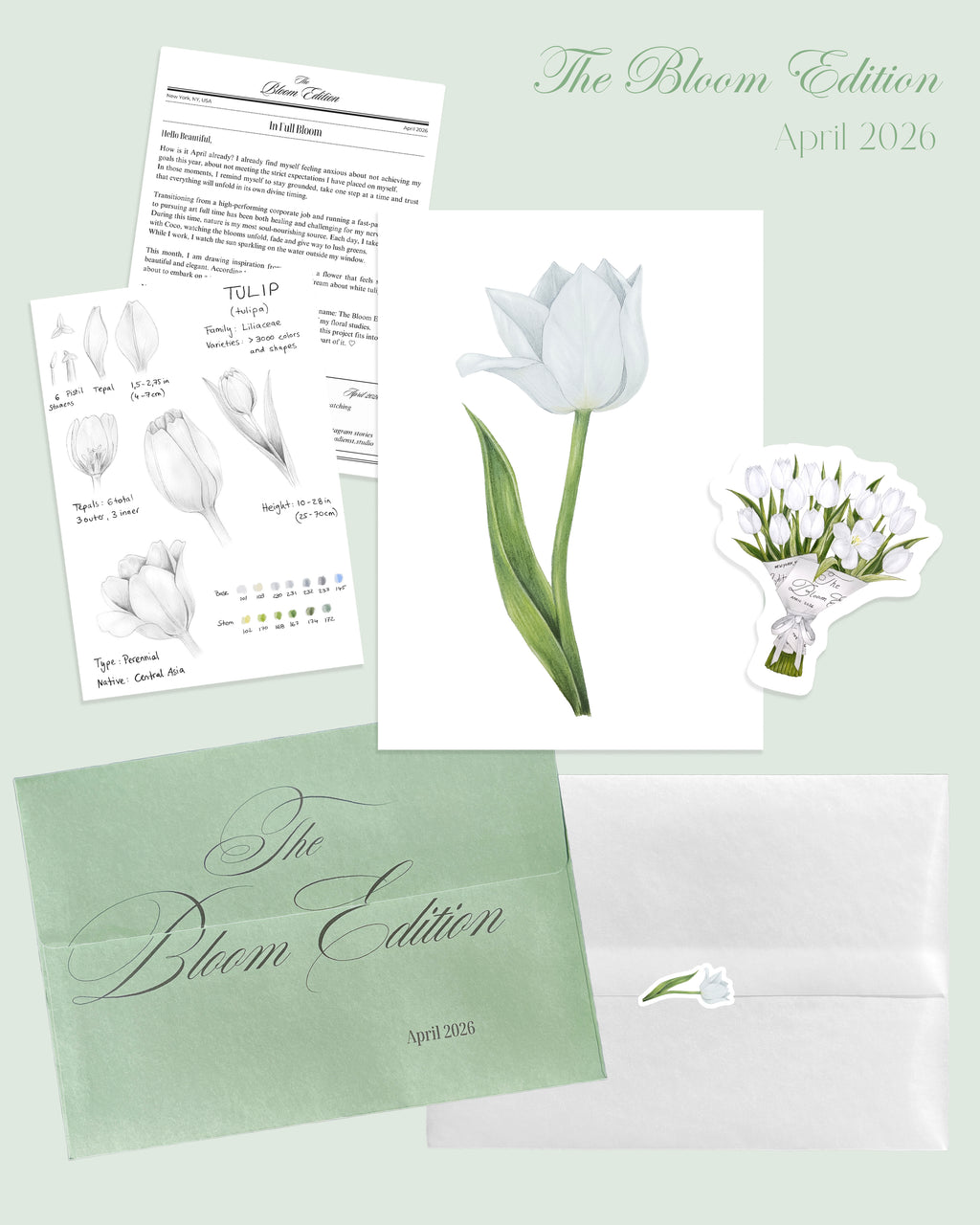 4th Edition: White Tulip
