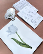 April Mail Club: Floral art print with a sticker and letter, matching envelope