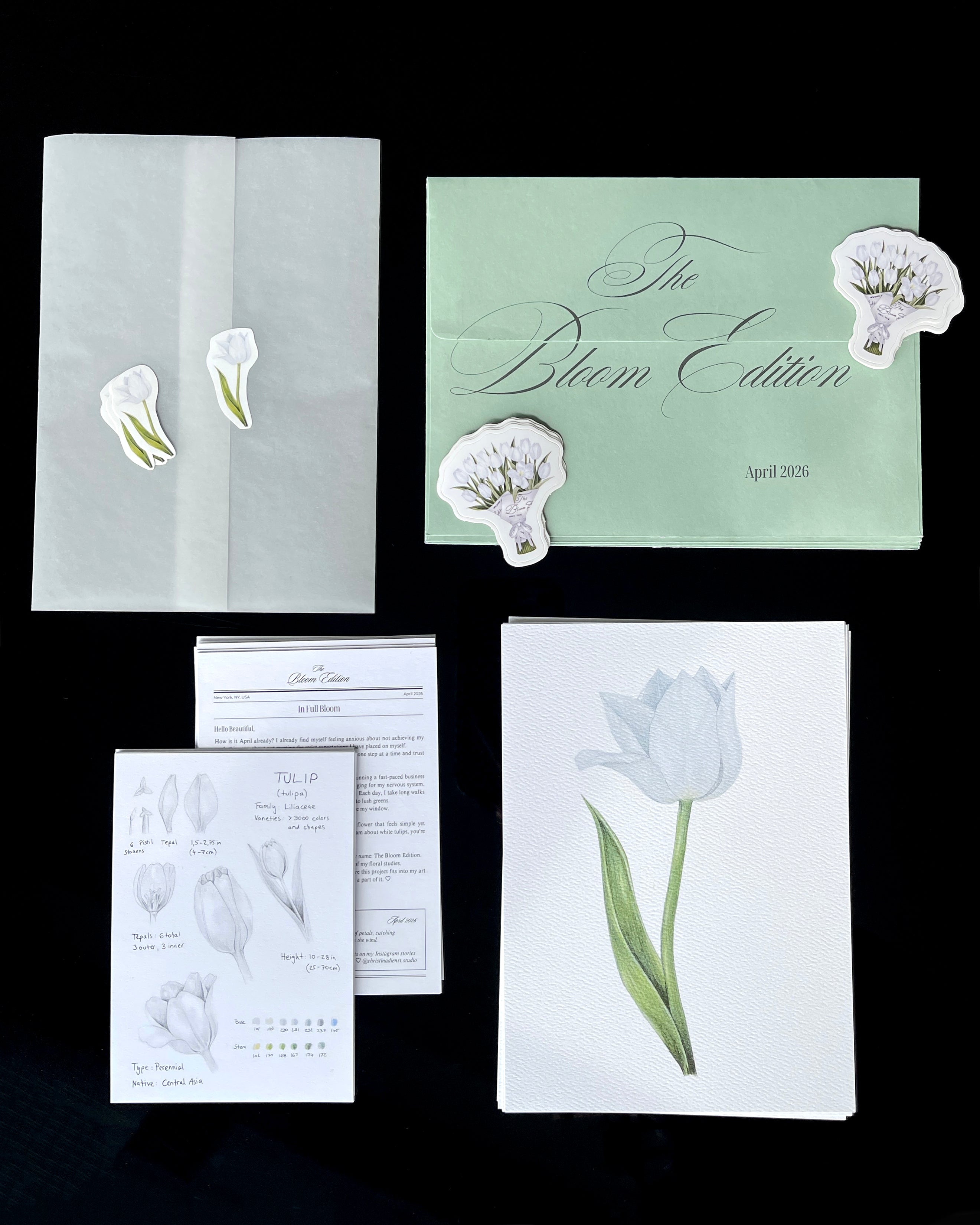April Mail Club: Floral art print with a sticker and letter, matching envelope