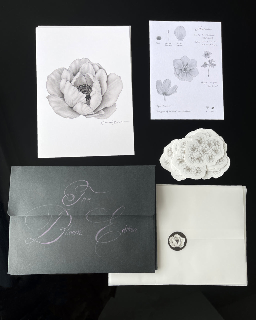 Floral-themed print club set including an anemone art print, sticker and a black envelope.