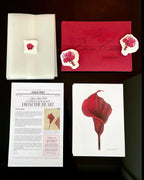 February Mail Club: Floral art print with sticker and letter, matching red envelope