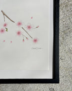 Framed artwork of a cherry blossom color pencil drawing