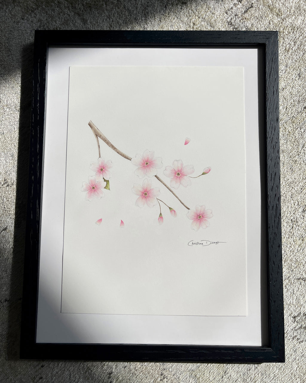 Framed artwork of a cherry blossom color pencil drawing