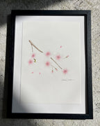 Framed artwork of a cherry blossom color pencil drawing