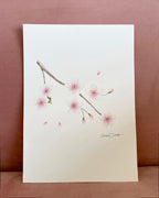 Cherry blossom color pencil drawing
