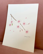 Cherry blossom color pencil drawing