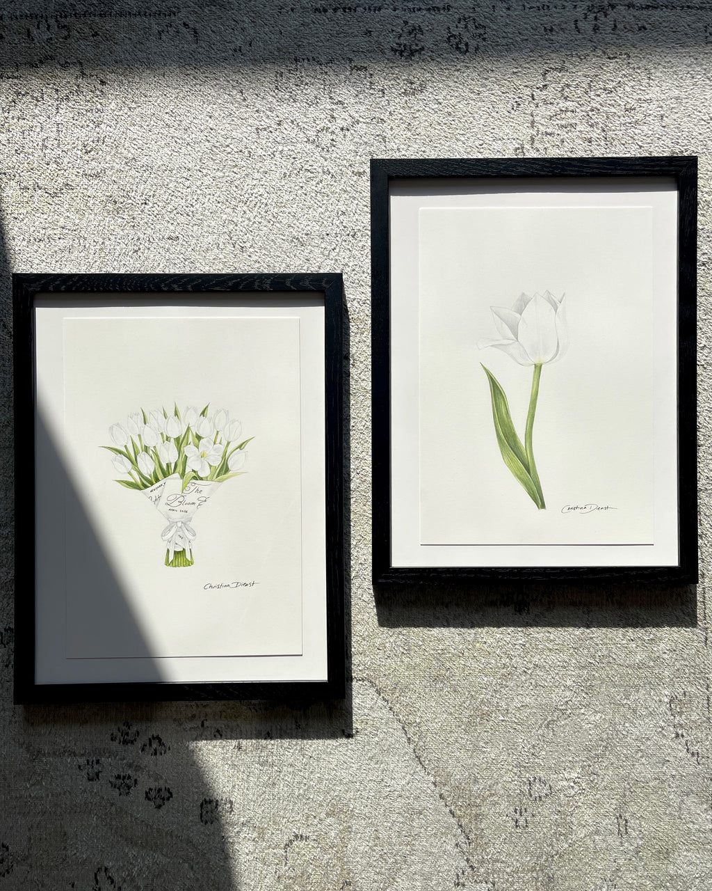 2 framed artworks of tulip color pencil drawings