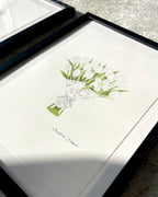 Framed artwork of a tulip color pencil drawing