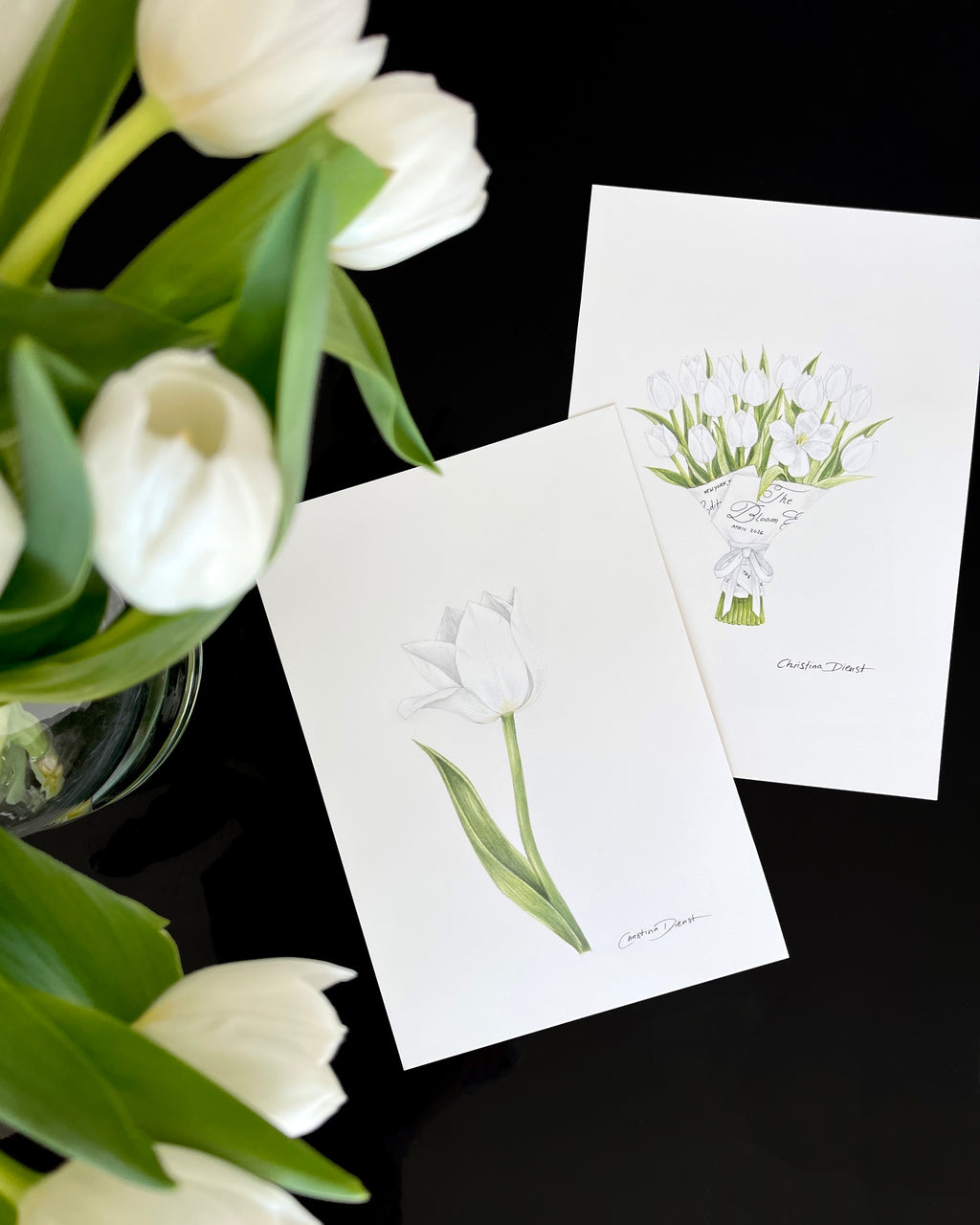 2 tulip color pencil drawings
