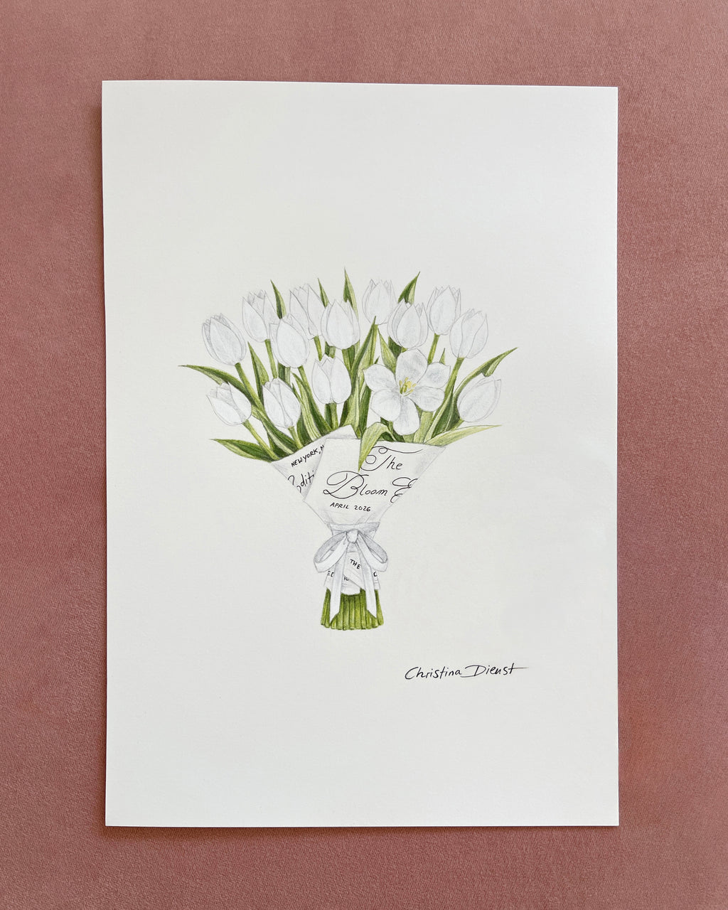 Tulip color pencil drawing