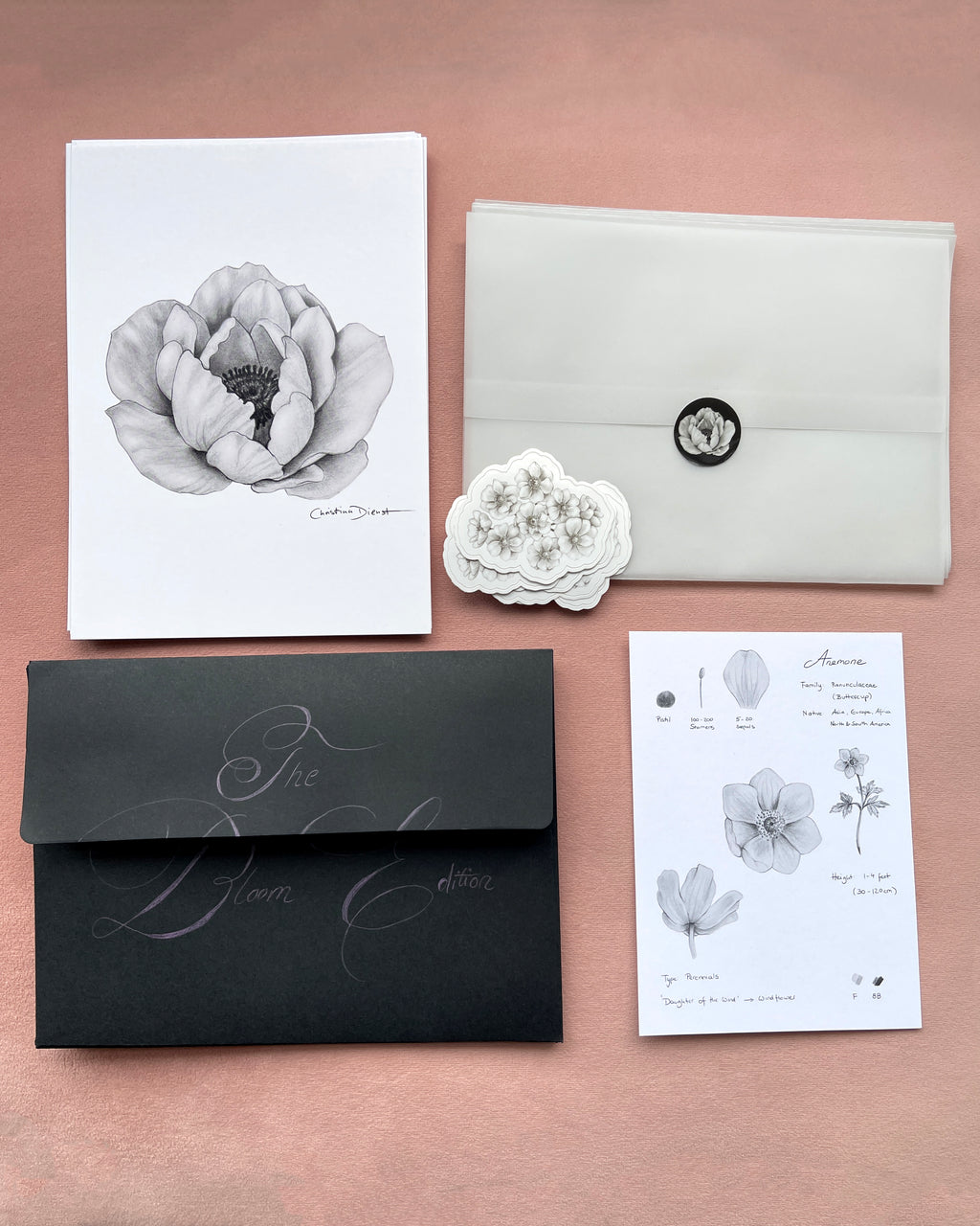 6th Edition: Anemone