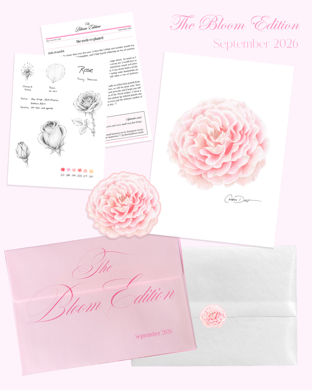 'The Bloom Edition September 2026' arranged on a blush background. The edition includes a blush envelope with pink script, a vellum sleeve with floral sticker seal, a pink rose art print, a pink rose sticker and printed studio note